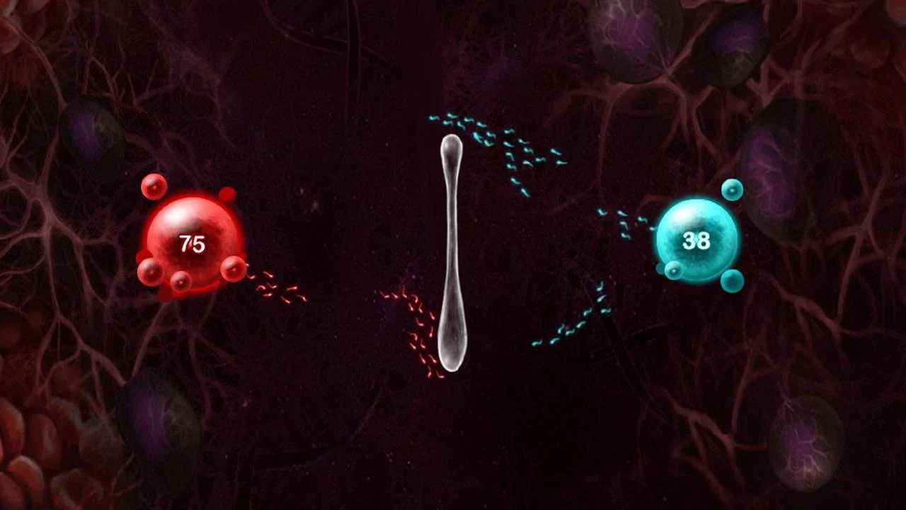 繁殖戰爭2中文版最新版