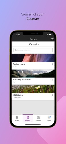 blackboard