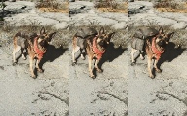 輻射4狗肉裝備mod