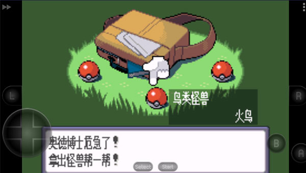 口袋妖怪藍寶石中文版金手指版