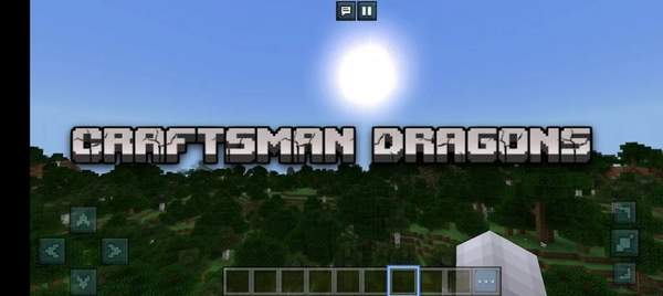 工匠生存游戲（Craftsman Dragons Survival）
