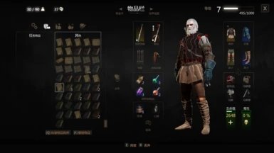 巫師3無(wú)限耐久mod