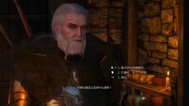 巫師3無(wú)限耐久mod