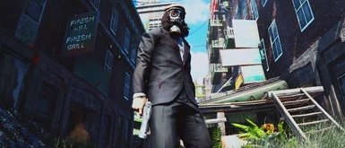 輻射4沙鷹mod