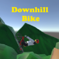 速降山坡自行车（Downhill Bike）