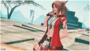 最終幻想14解放者夾克mod