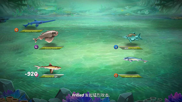 鯊魚世界