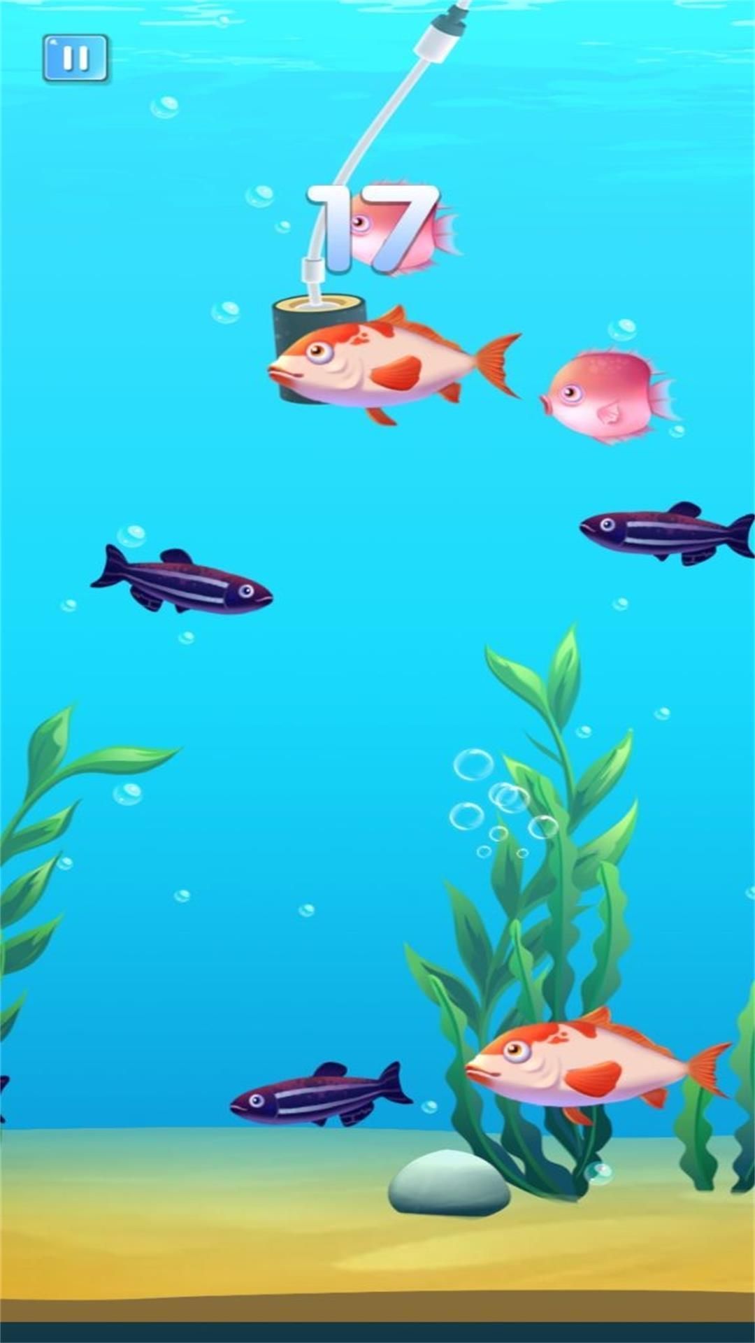 無盡貪食小魚進化