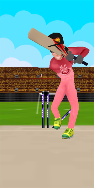 板球超級(jí)聯(lián)賽(Dice Cricket Super League)