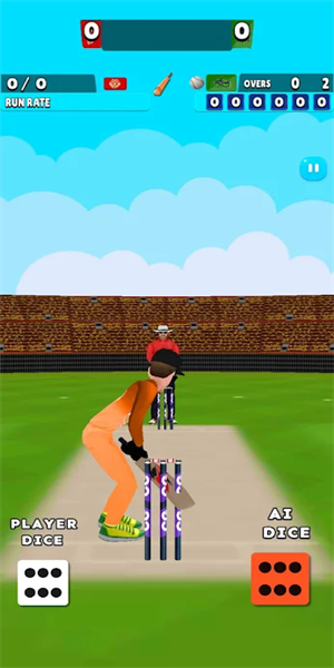 板球超級(jí)聯(lián)賽(Dice Cricket Super League)