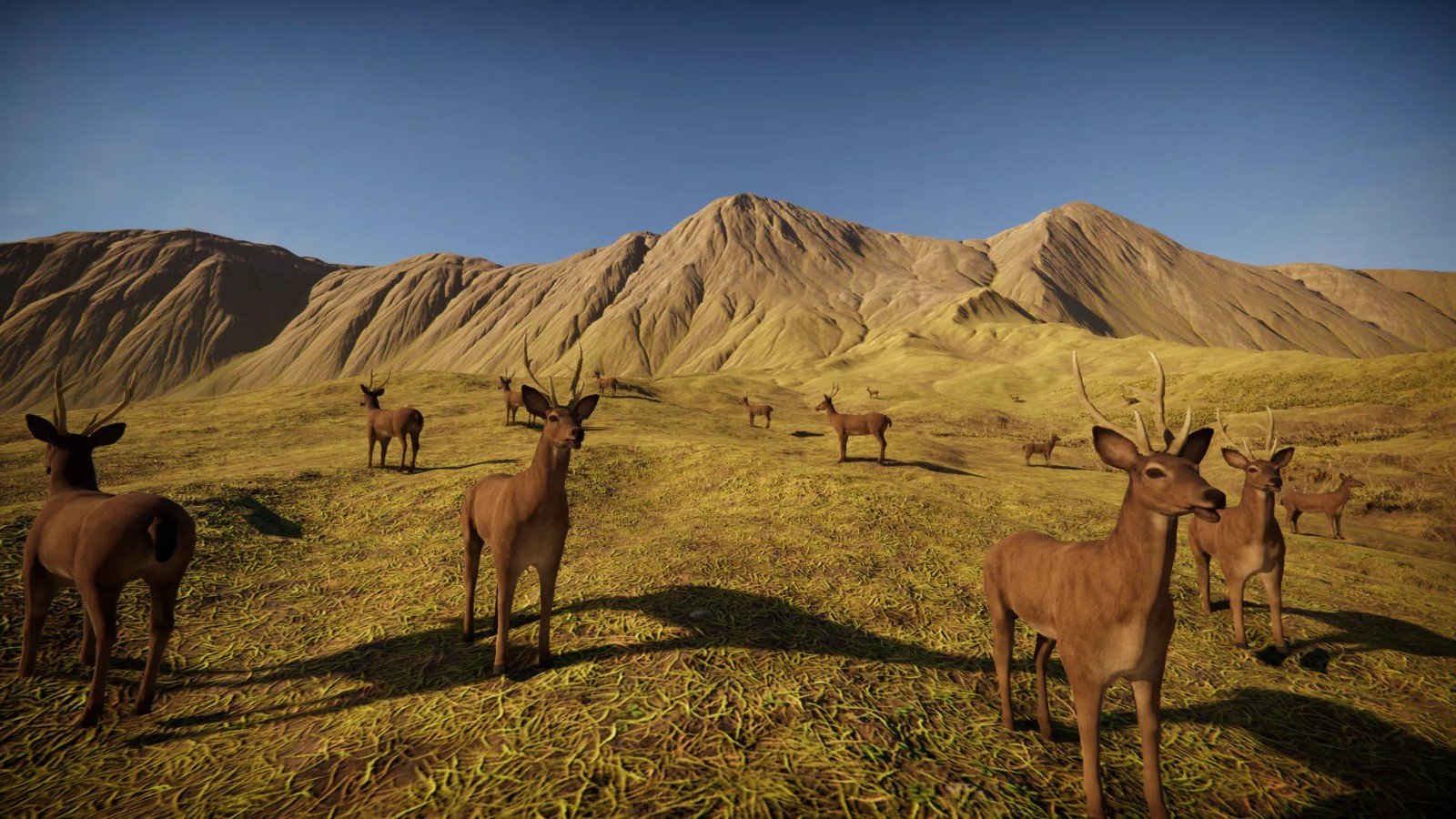 獵鹿森林奔跑(Deer simulator)