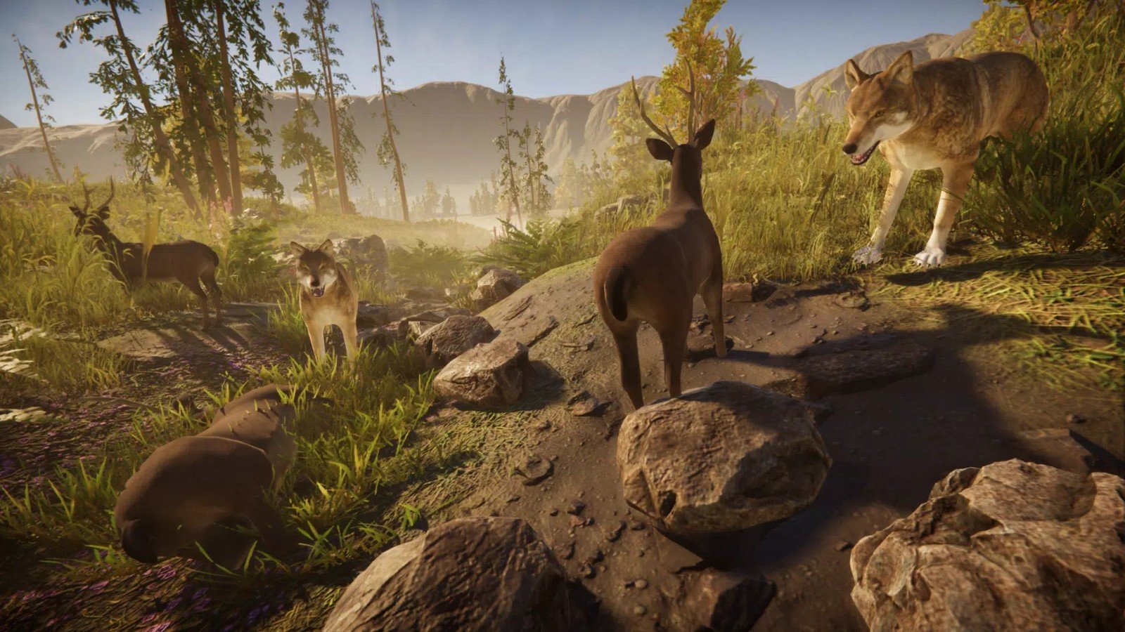 獵鹿森林奔跑(Deer simulator)