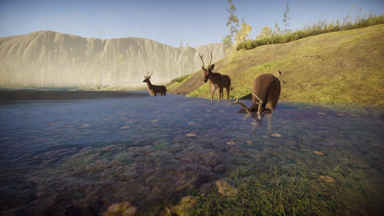獵鹿森林奔跑(Deer simulator)