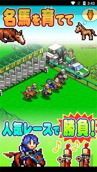 頂級跑馬牧場