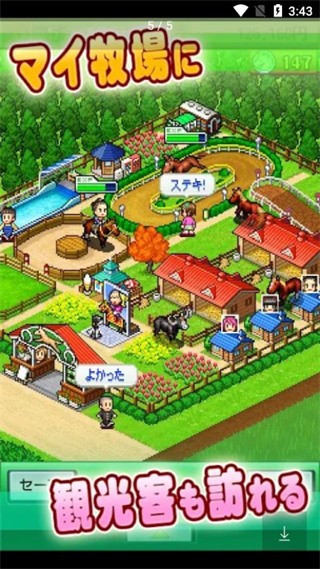 頂級跑馬牧場
