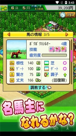 頂級跑馬牧場