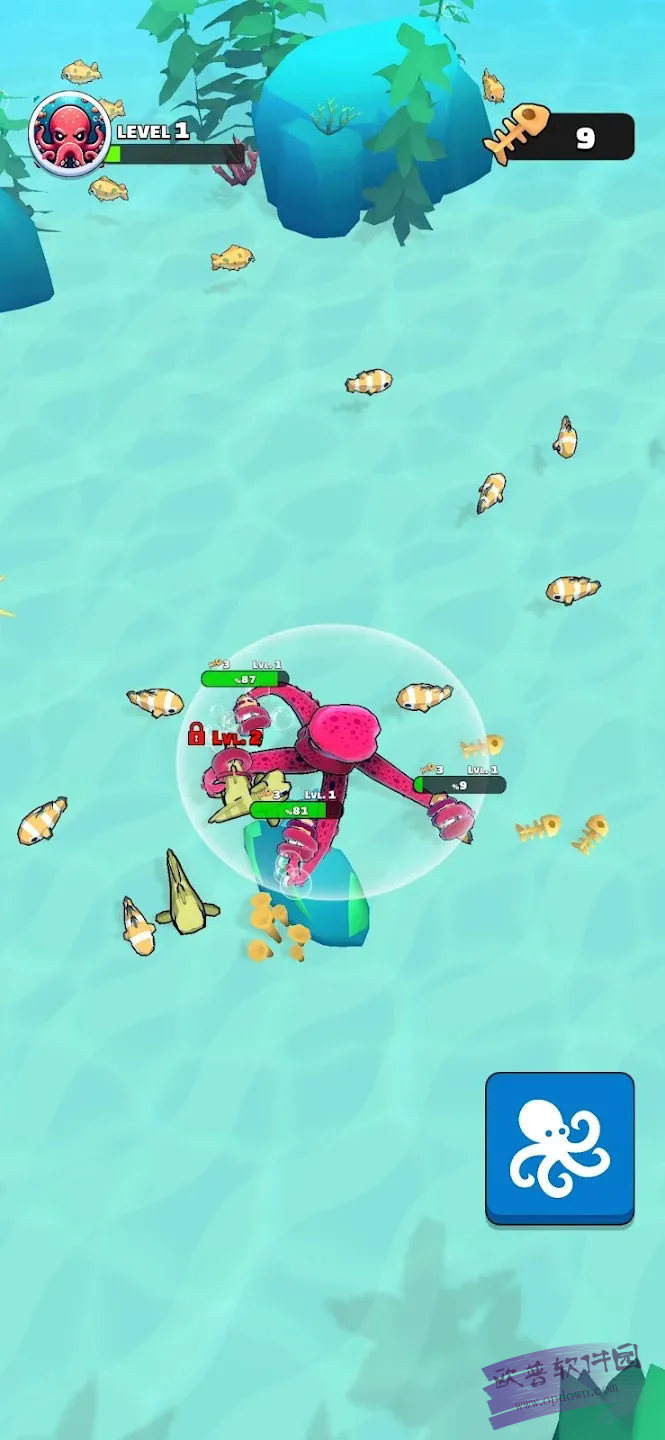 章魚盛宴