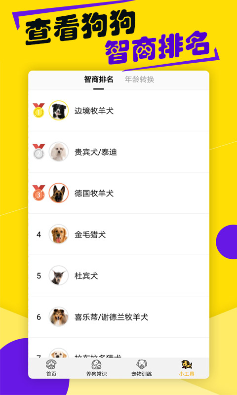 狗語翻譯器免費(fèi)中文版