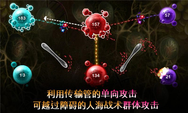 繁殖戰(zhàn)爭2中文版