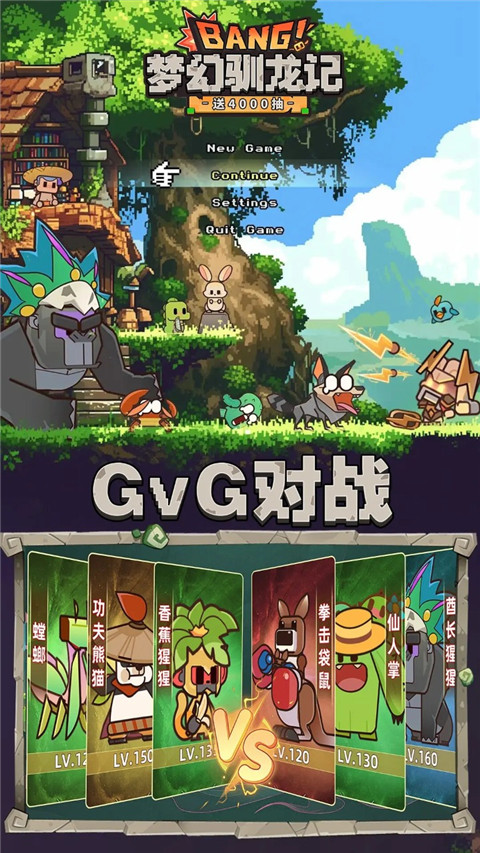 夢(mèng)幻馴龍記