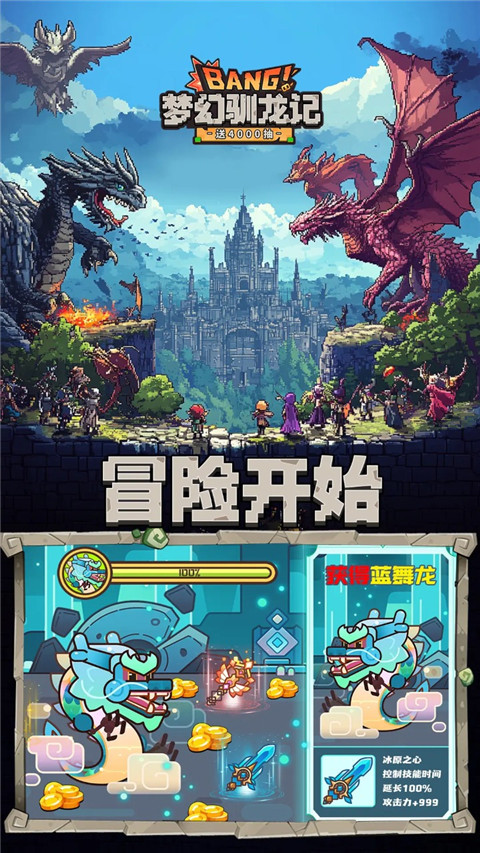 夢(mèng)幻馴龍記