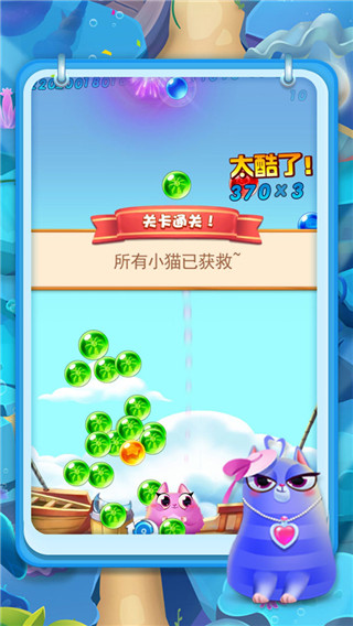 全民救貓咪