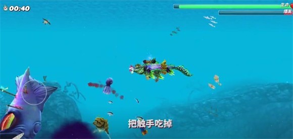 hungrysharkworld國際版