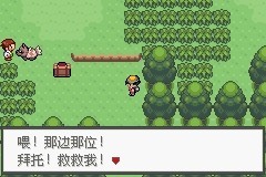 口袋妖怪極光石