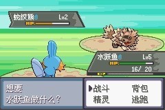 口袋妖怪極光石