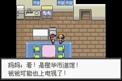 口袋妖怪極光石