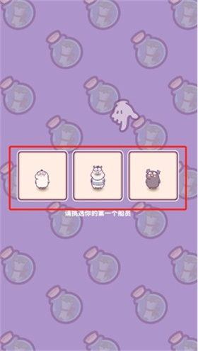動物游輪