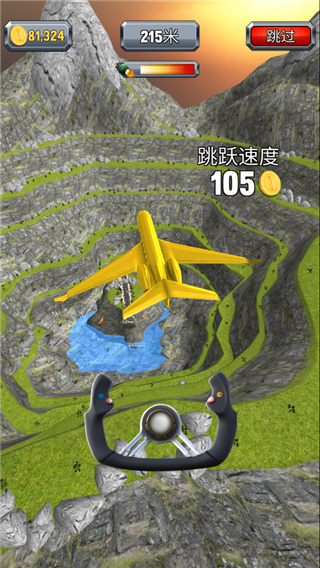 瘋狂的飛機(jī)著陸