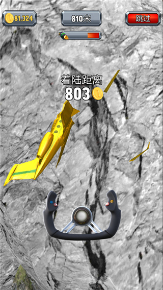 瘋狂的飛機(jī)著陸