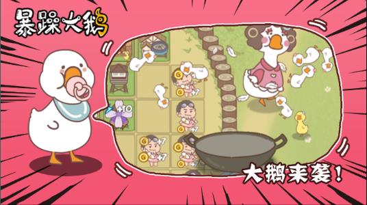 暴躁大鵝最新正版