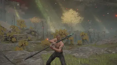 艾爾登法環(huán)死歌的法杖外觀mod