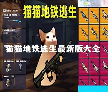 貓貓地鐵逃生最新版大全