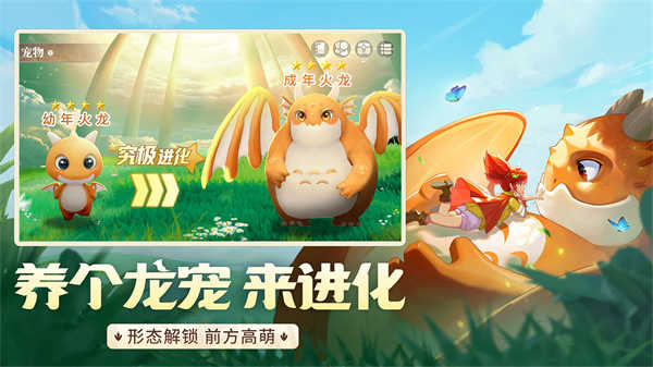 龍騎士學(xué)園中文版