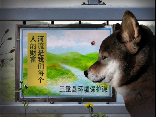 翌日波奇狗的歷險記