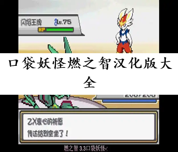 口袋妖怪燃之智漢化版大全