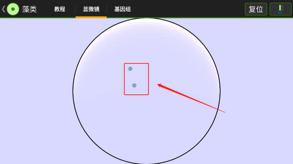 細(xì)胞實(shí)驗(yàn)室
