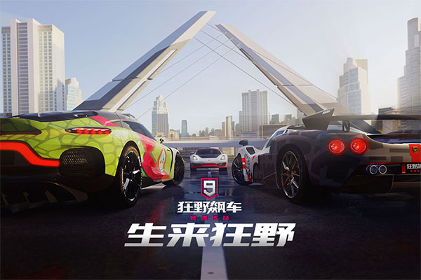 狂野飆車9國(guó)際服安卓版