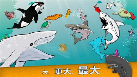 皇家魚
