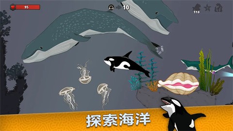皇家魚