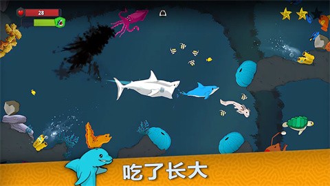 皇家魚