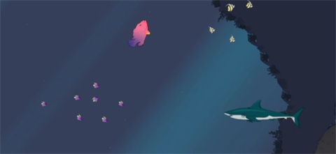 皇家魚中文版