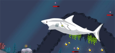 皇家魚中文版
