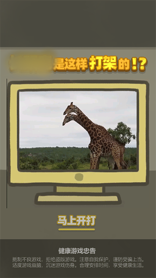 長(zhǎng)頸鹿是這樣打架的