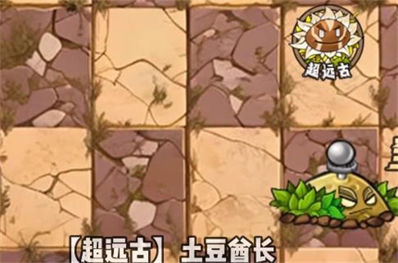 植物大戰僵尸神奇植物版
