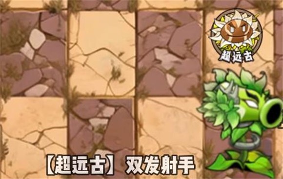 植物大戰僵尸神奇植物版