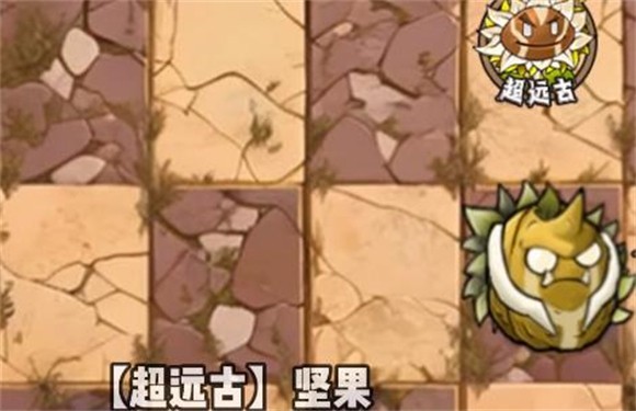 植物大戰僵尸神奇植物版